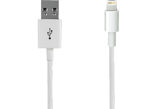 CELLULARLINE Câble de données USB Lightning - pour iPhone 5 - blanc - 1 câble de données USB (Blanc)