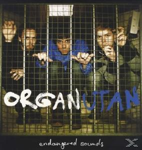 Orangutan, Organutan - ENDANGERED SOUNDS  - (Vinyl)