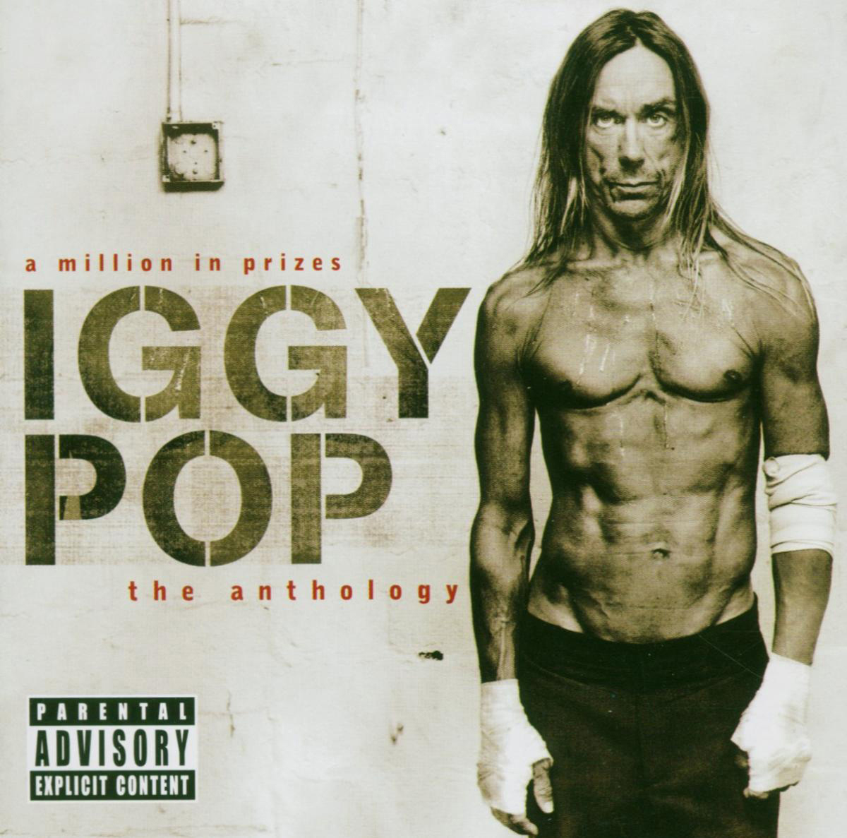 Iggy Pop Albumcover. Er ist ohne Hemd, muskulös, mit langen Haaren und weißen Bandagen an den Händen.