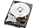 WESTERN DIGITAL DT MAINSTREAM 2TB RETAIL KIT - Festplatte (HDD, 2 TB, Schwarz)