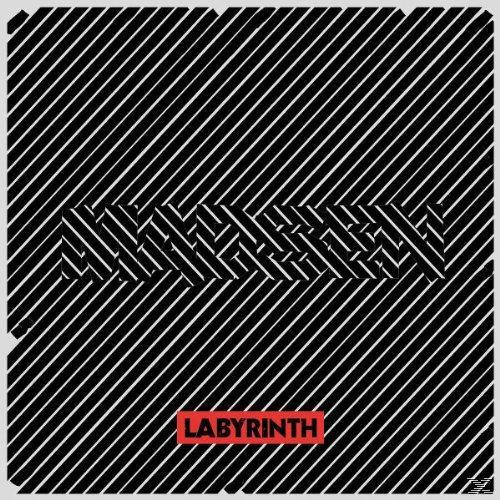 Schwarze und weiße Linien erzeugen einen Labyrintheffekt mit dem Wort Labyrinth und einem roten Rechteck unten.