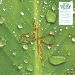 Albumcover mit einem grünen Blatt, das mit Wassertropfen bedeckt ist. Ein goldfarbenes Symbol befindet sich in der Mitte des Blattes.