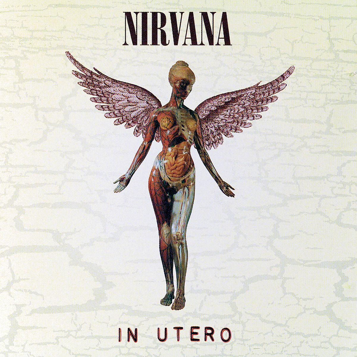 Nirvana | IN UTERO (20TH ANNIVERSARY REMASTER) - (CD) | MediaMarkt