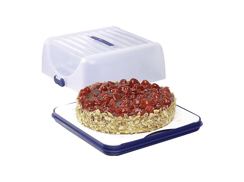 Kuchenbox Emsa Emsa Kuchenbox Superline Rechteckig – 35x18 Cm, Weiß/blau, Mit Schnappverschlüssen & Griff – Made In Germany – Für Kastenkuchen & Snacks