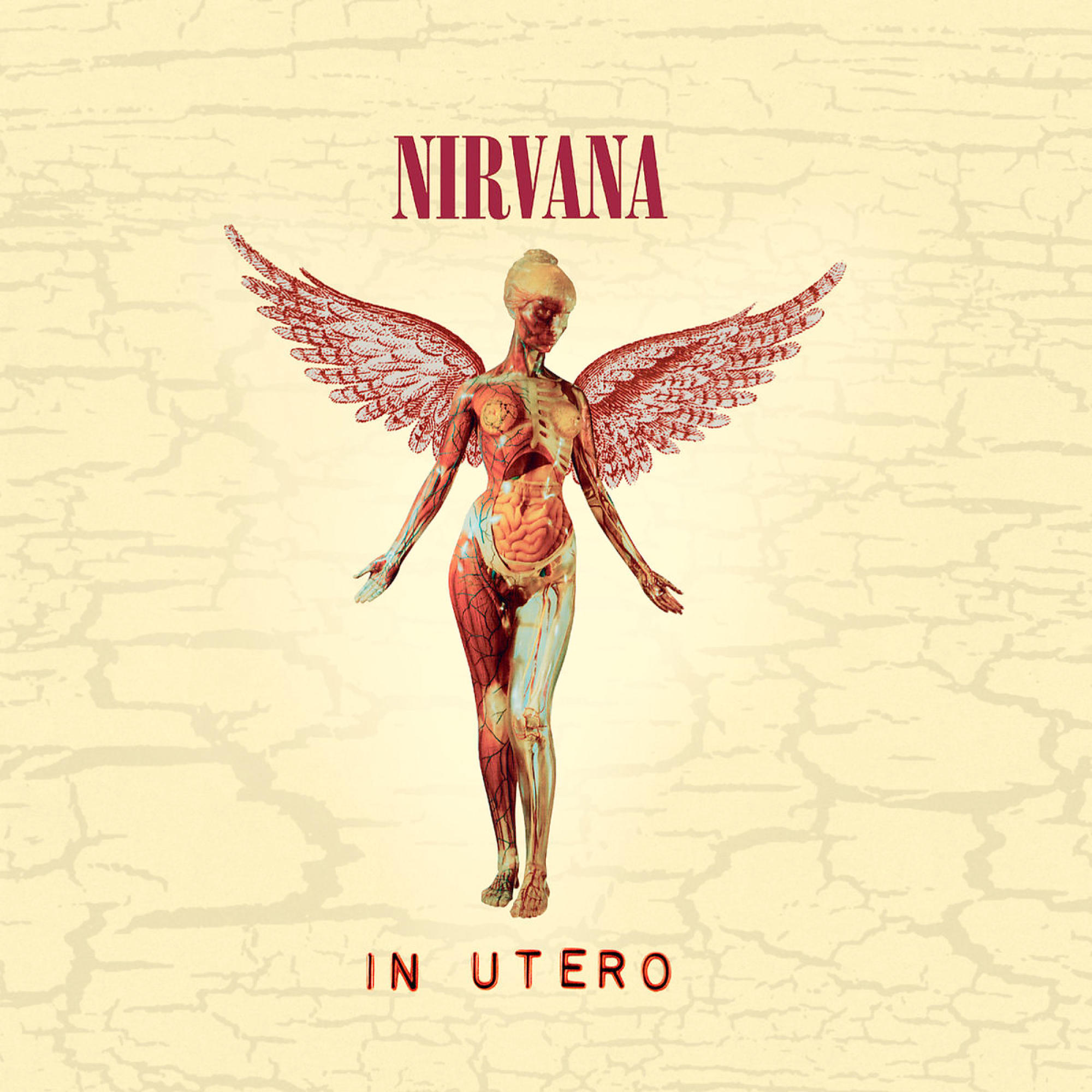 Albumcover für Nirvanas In Utero. Eine transparente anatomische Figur mit Flügeln. Cremefarbener Hintergrund.