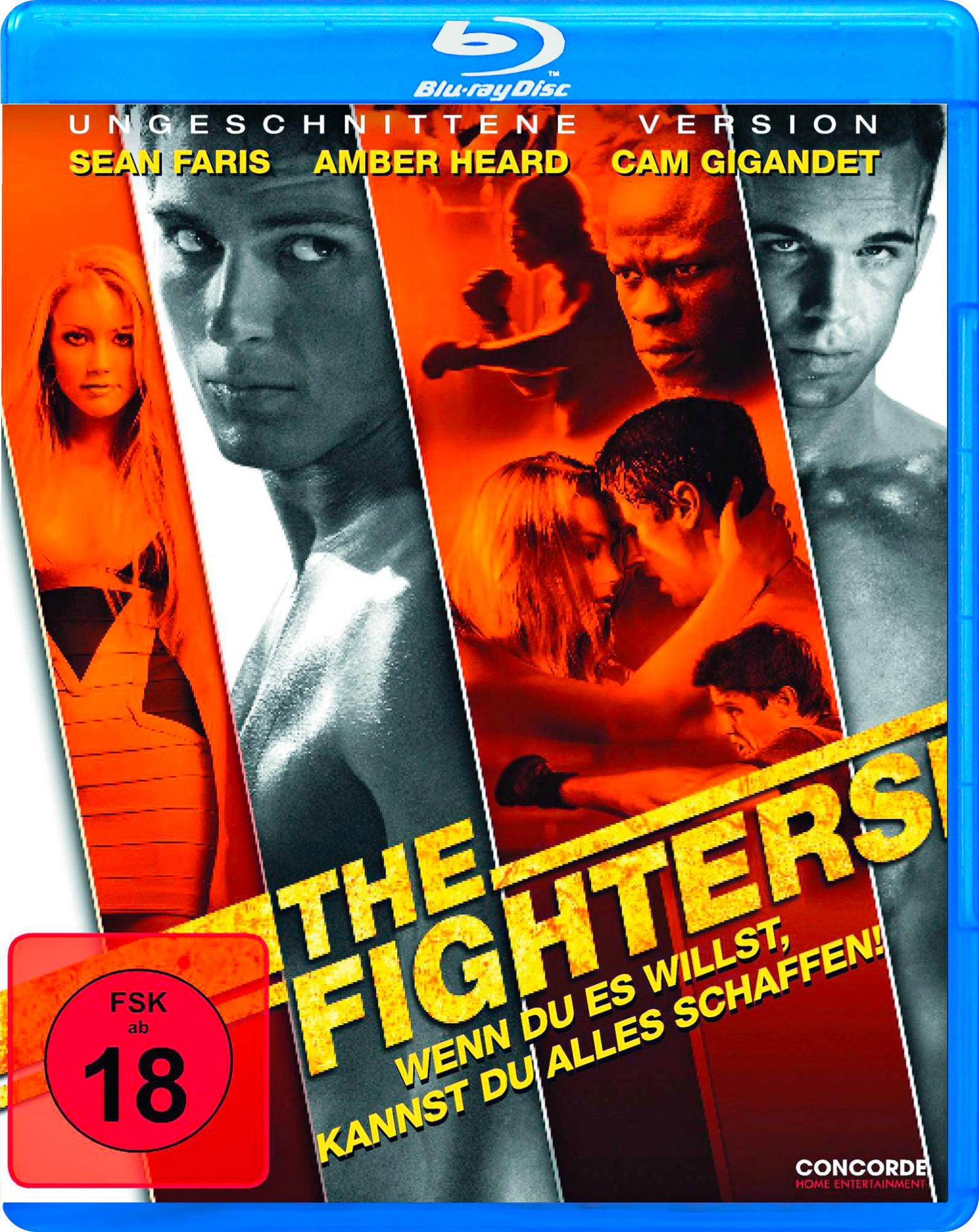 The Fighters Blu-ray-Cover. Kämpfende Menschen, romantische Szene. Blaue Hülle. Text vorne.