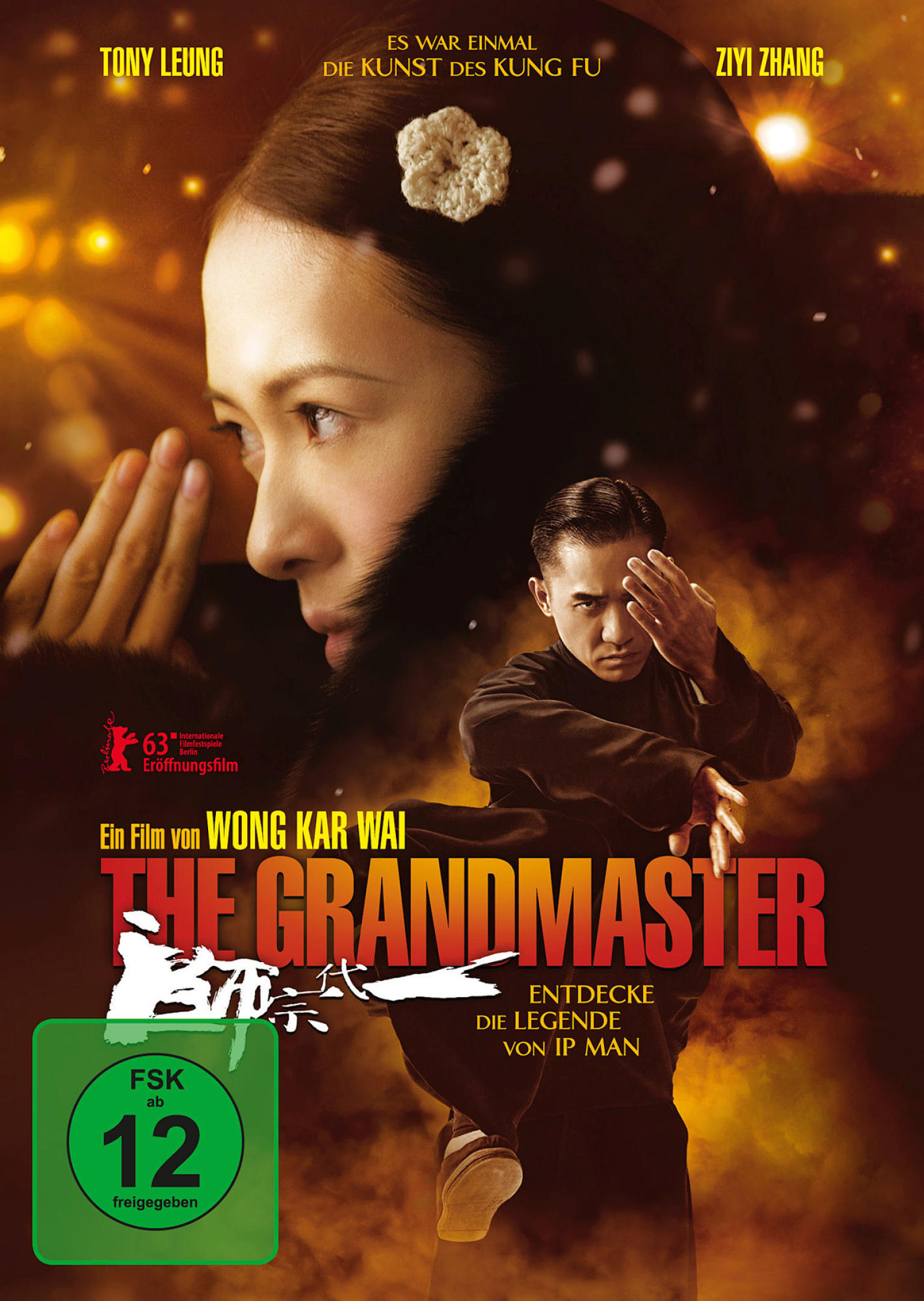 THE GRANDMASTER DVD