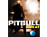 Pitbull - Live At Rock In Rio (DVD)