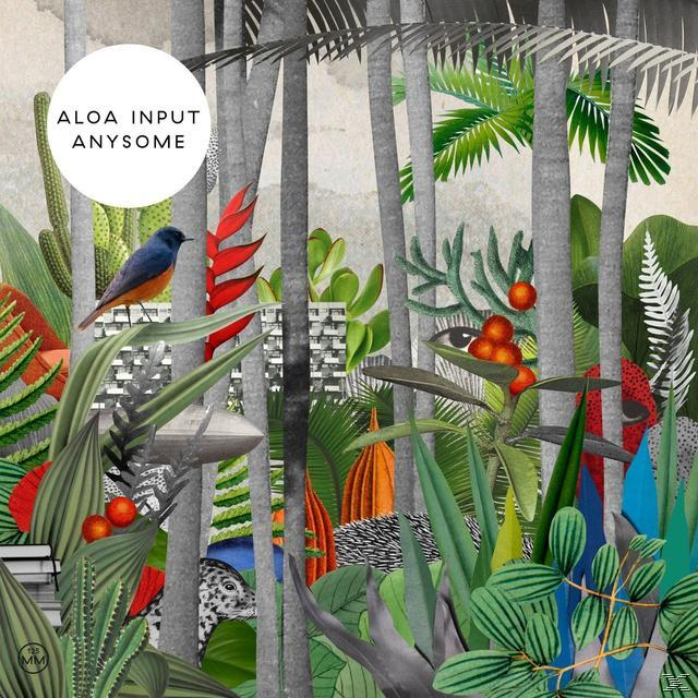 Aloa Input - Anysome  - (CD)