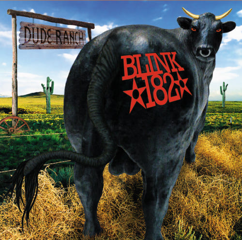 Egy fekete bika, a hátán Blink 182-vel, egy mezőn áll. Dude Ranch tábla.