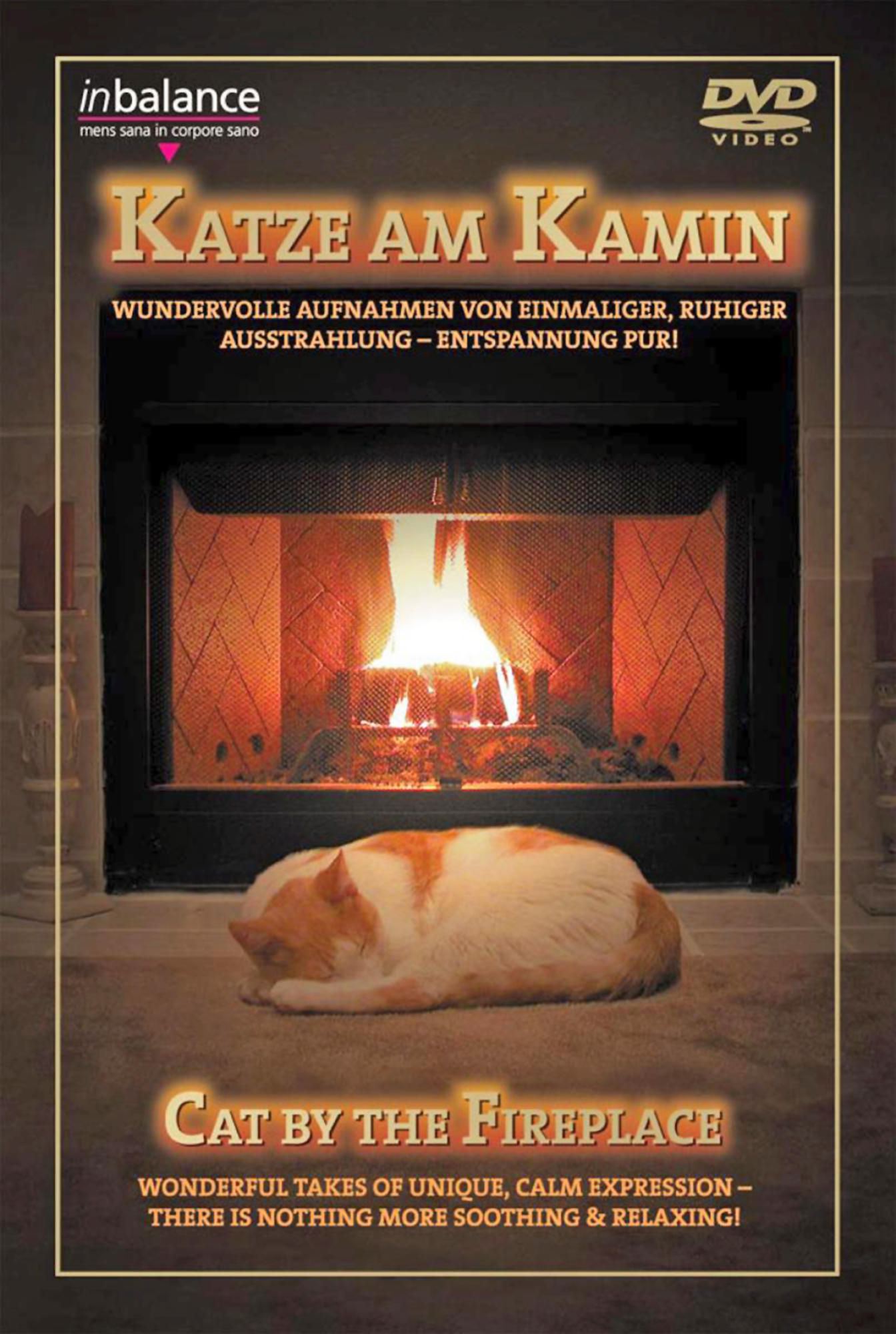 DVD am Kamin Katze