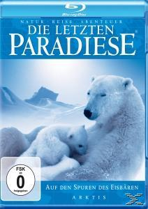 der Eisbären den Arktis-Auf Blu-ray Spuren