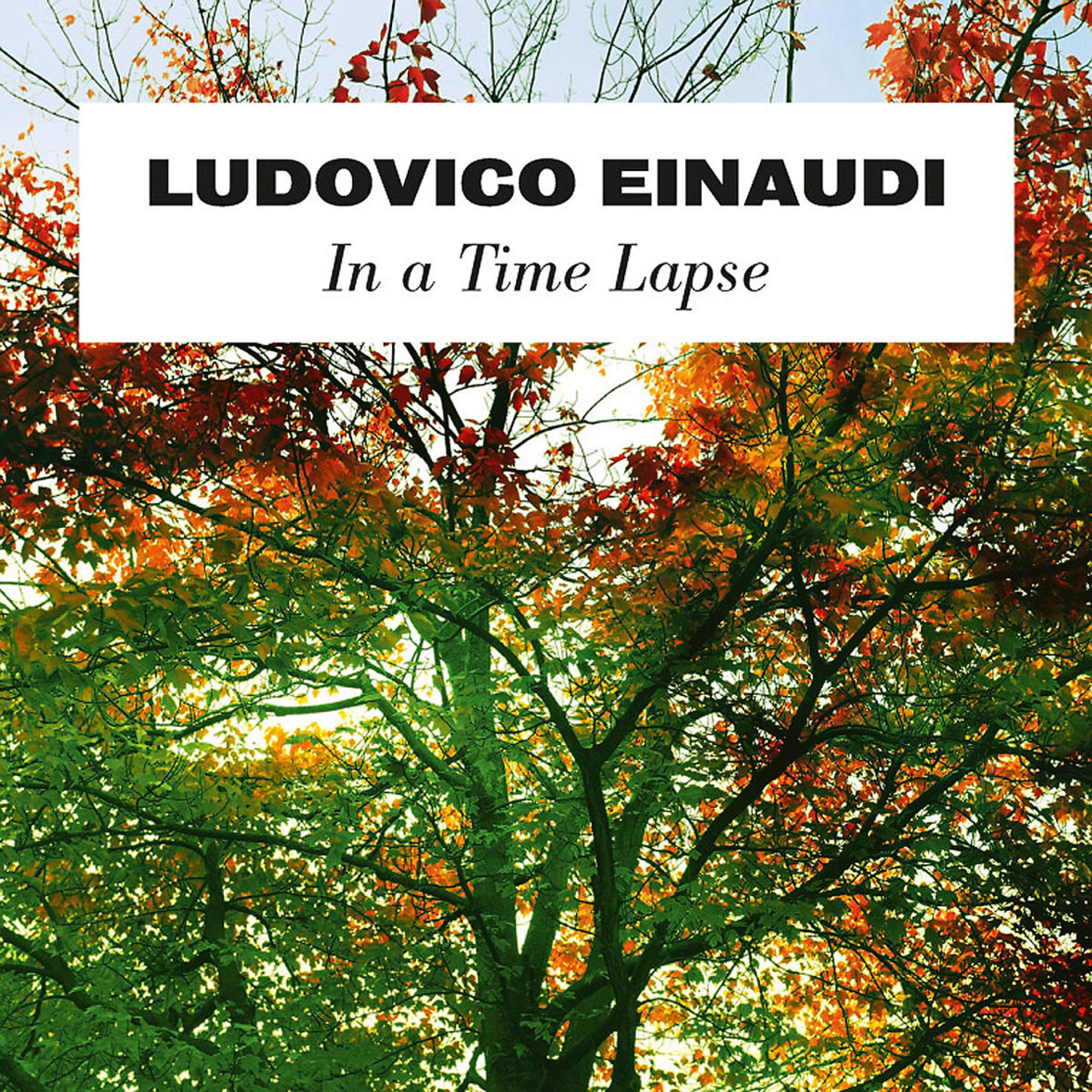 Ludovico Einaudi - In A Time Lapse  - (Vinyl)