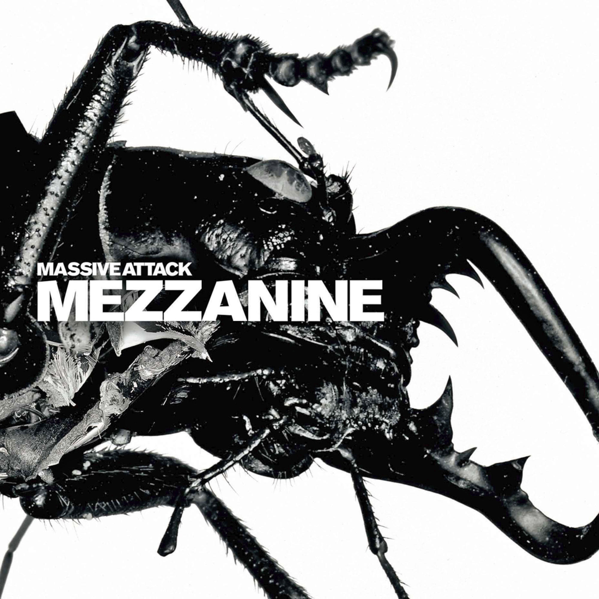 Pochette d'album en noir et blanc. Créature ressemblant à un coléoptère avec du texte.