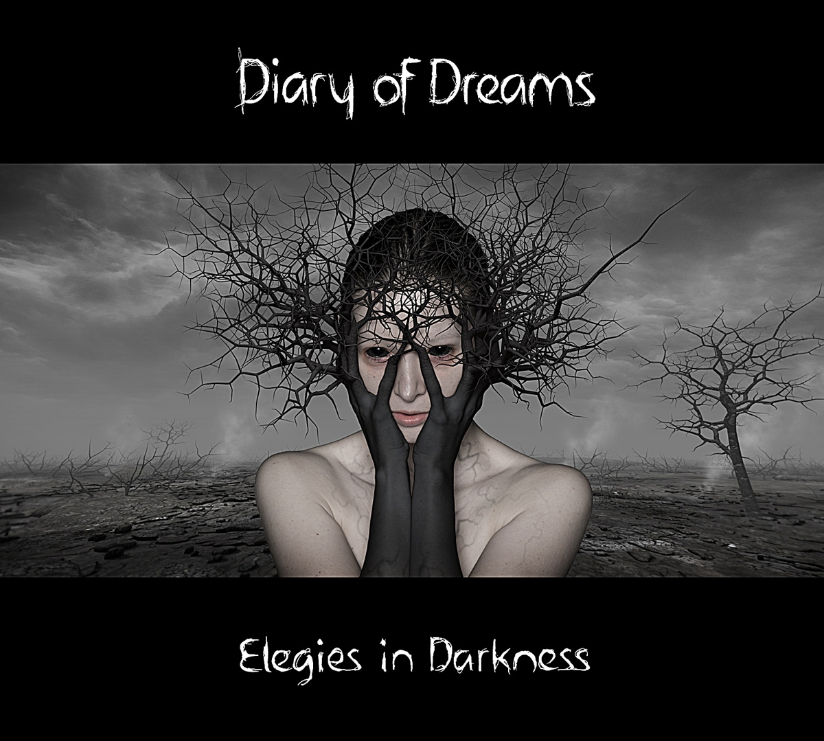 Albumcover: 'Diary of Dreams - Elegies in Darkness'. Gesicht im Schatten, umgeben von Ästen, dunkler Hintergrund.