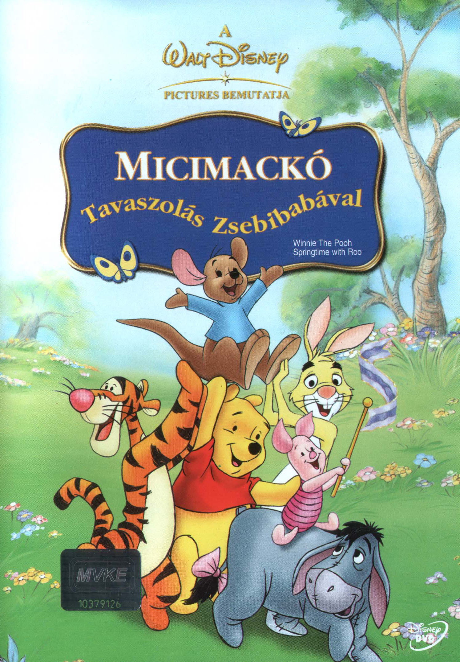 Micimackó - Tavaszolás Zsebibabával (DVD)