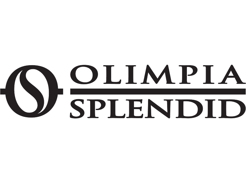 Aire acondicionado Split 1 x 1 | Olimpia-Splendid Aryal iON 10