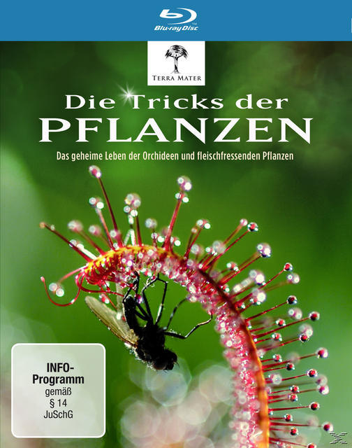 Blu-ray-Cover: Die Tricks der Pflanzen. Zeigt eine Pflanze mit einer Fliege. Grüner Hintergrund. Titel in Weiß.