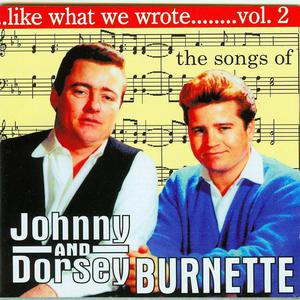 VARIOUS - Like What We Wrote Vol.2  - (CD)