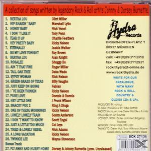 VARIOUS - Like What We Wrote Vol.2  - (CD)
