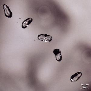 Nahaufnahme von Wassertropfen in der Luft, mit unscharfem Hintergrund, auf grauem Grund.
