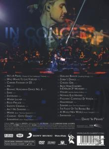 David Garrett - DAVID GARRETT LIVE-IN CONCERT & IN PRIVATE  - (DVD)