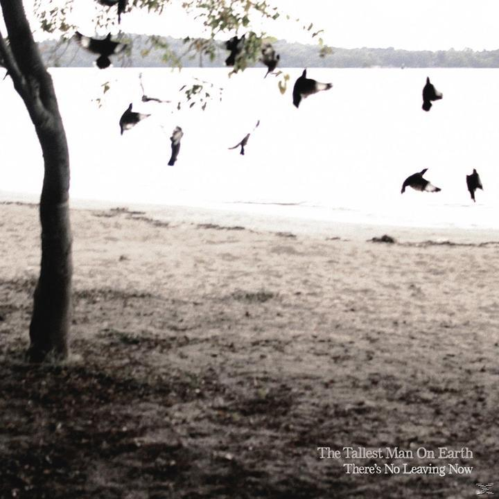 The Tallest Man On Earth - THERE S NO LEAVING NOW  - (CD)