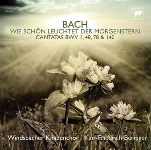 Windsbacher Knabenchor - Wie Schön Leuchtet Der Morgenstern  - (CD)