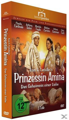 DVD-Cover: Menschen in Kostümen. Titel: 'Prinzessin Amina'.