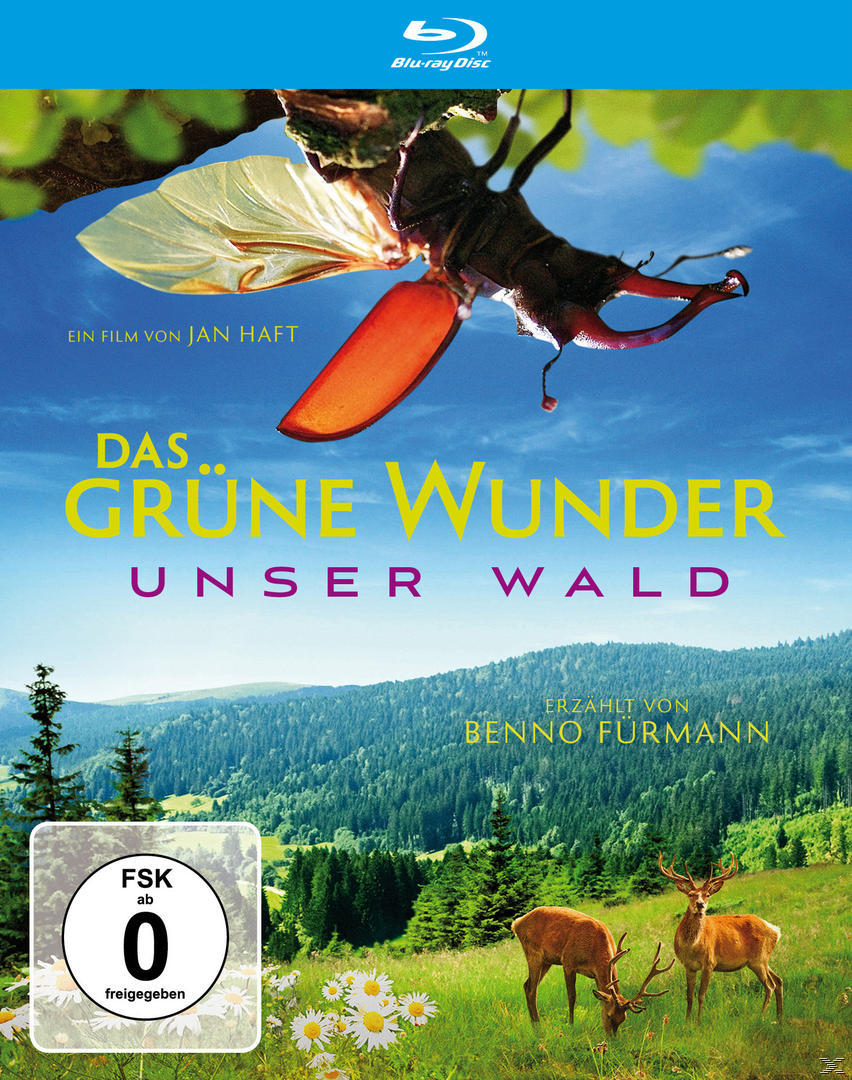 DVD-Cover: Ein Käfer auf einem Ast, Wald und blauer Himmel. Titel: Das Grüne Wunder Unser Wald. Hirsche im Wald.