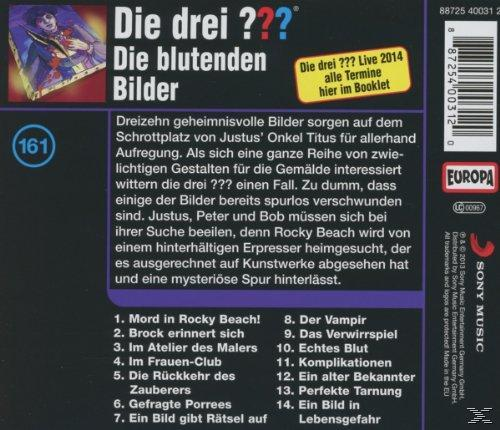 Rückseite des CD-Covers mit Text und dem Titel 'Die drei ???'.