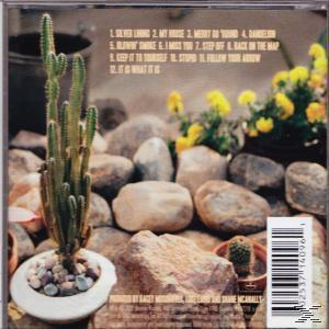 Rückseite einer CD: Kakteen und Steine in Töpfen, gelbe Blumen. Songtitel sind aufgelistet.