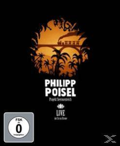 Albumcover, schwarzer Hintergrund, Silhouette einer Brücke. Text: Philipp Poisel, Live. Palmen und ein Zug im Hintergrund.