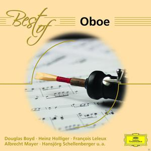 Albumcover. Best of Oboe. Eine Oboe mit Noten im Hintergrund. Gelber Hintergrund.