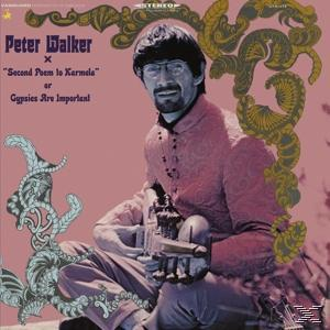 Albumcover mit einem sitzenden Mann in einem rosa Hemd, mit Text: Second Poem to Karmela or Gypsies Are Important.