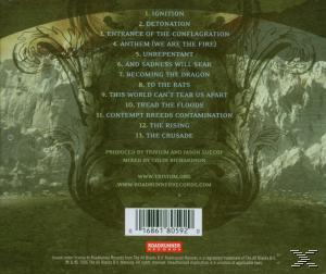 Album-Rückseite mit Text und einem Hintergrund mit abstrakten Formen. Es hat einen Barcode.