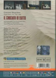 Vinco, Villaume/Maniaci/Ciofi/Vinco - Crociato In Il (DVD) - Egitto