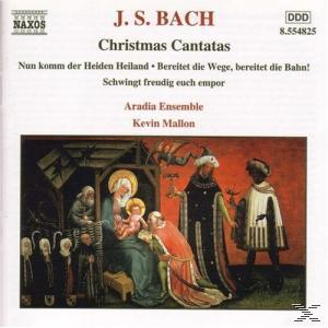 CD-Cover, J.S. Bach, Weihnachtskantaten, mit einem Gemälde der Geburtsszene.