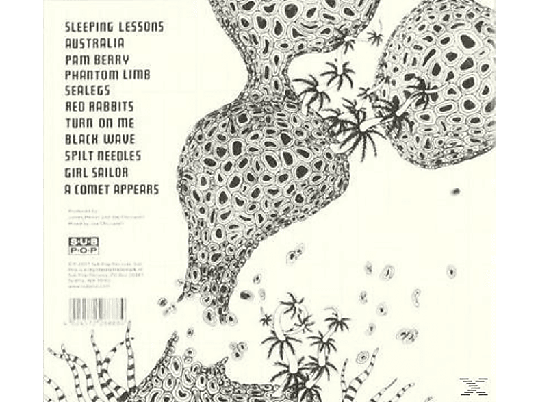 Thumbnail - The Shins - Wincing Night Away (CD)