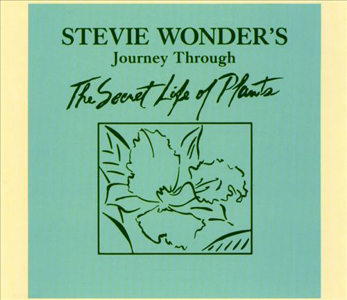 Stevie Wonder - Secret Life Of Plants (CD)