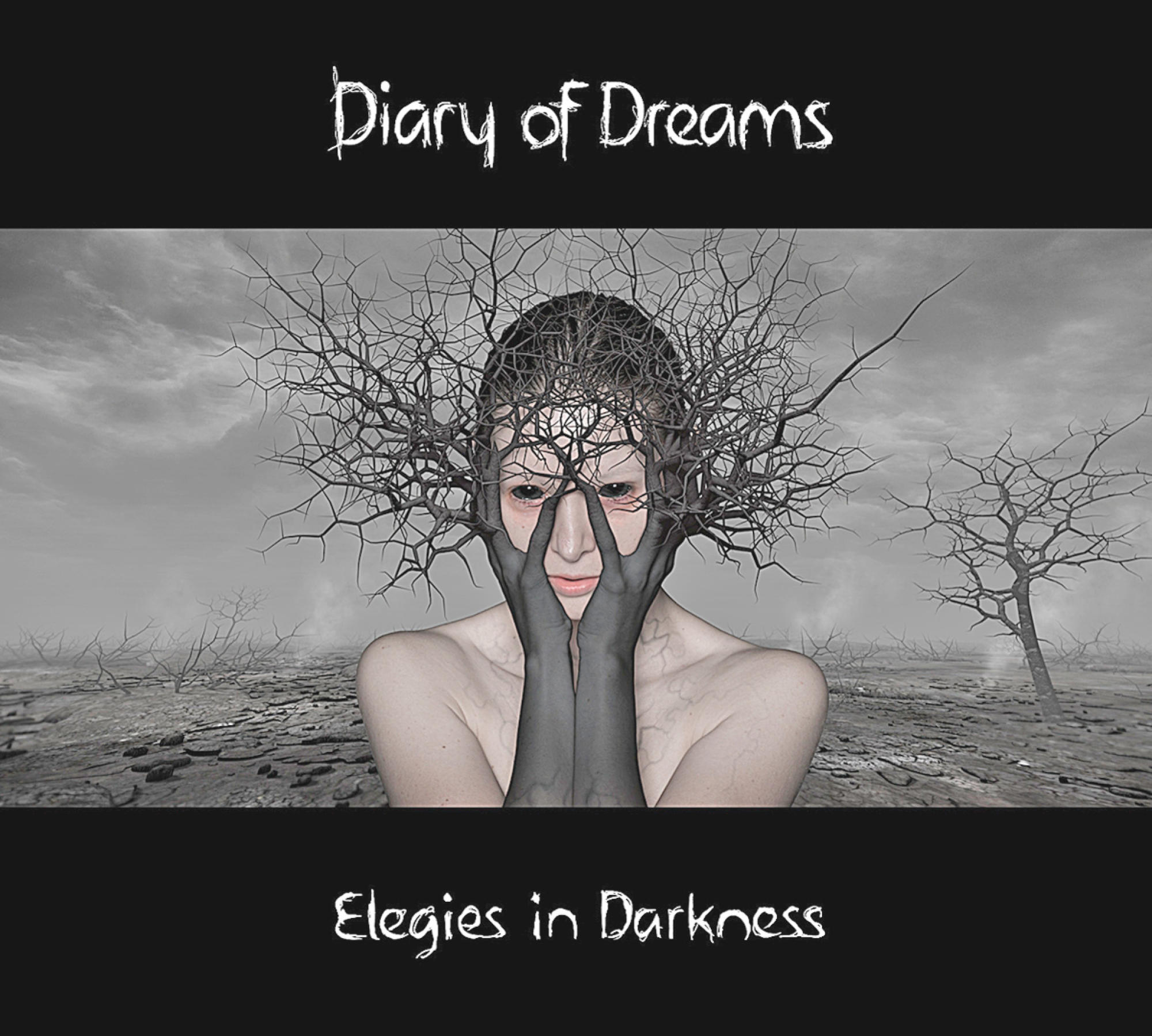 Albumcover: Eine Person hält Äste vor ihrem Gesicht, mit trostloser Landschaft. Titel: Diary of Dreams.