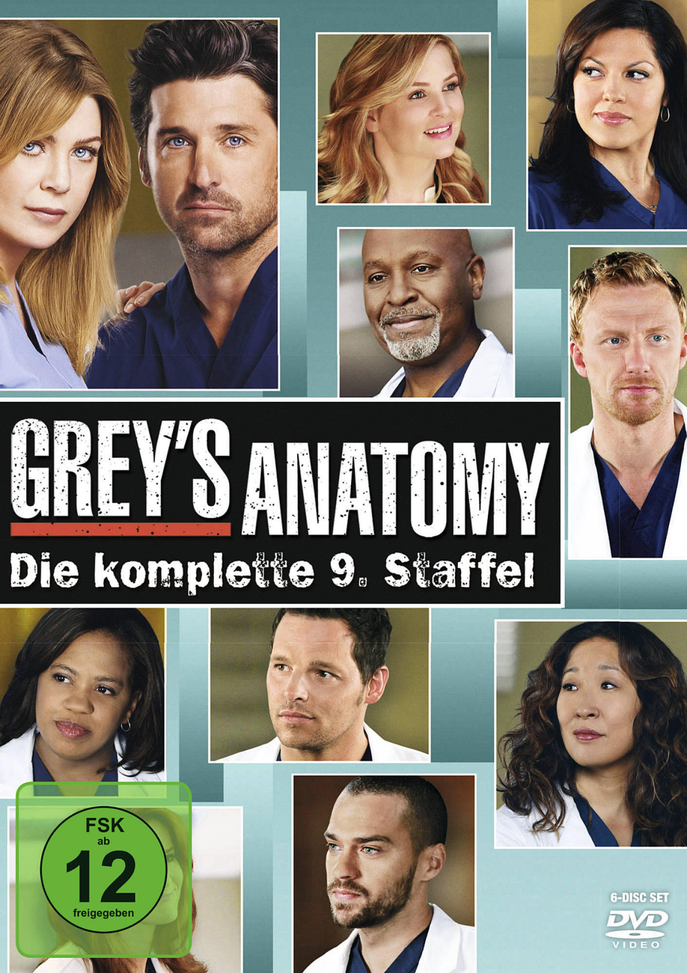 Greys Anatomy - Staffel 9 [DVD]