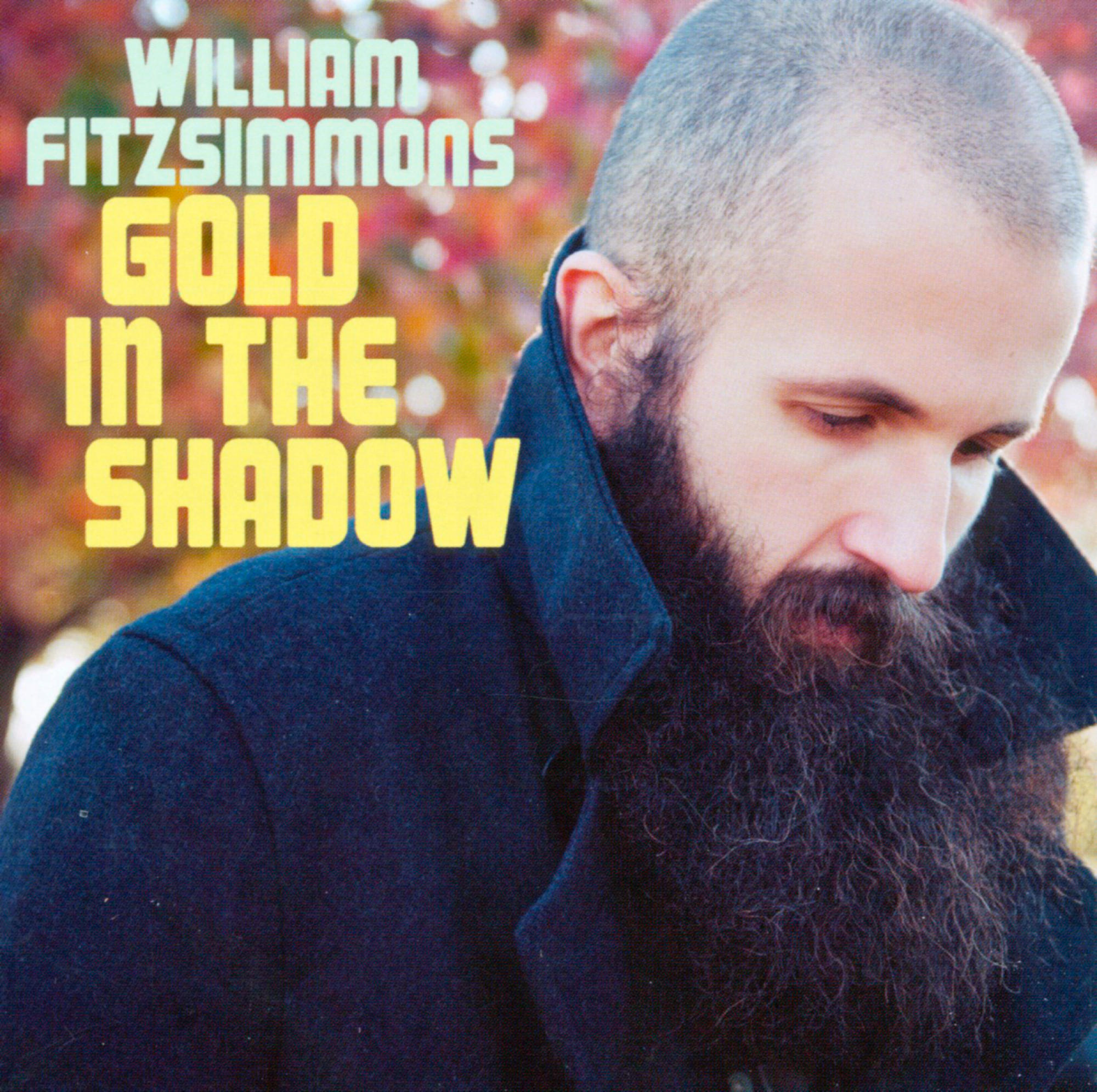 William Fitzsimmons - Gold In The Shadow  - (CD)