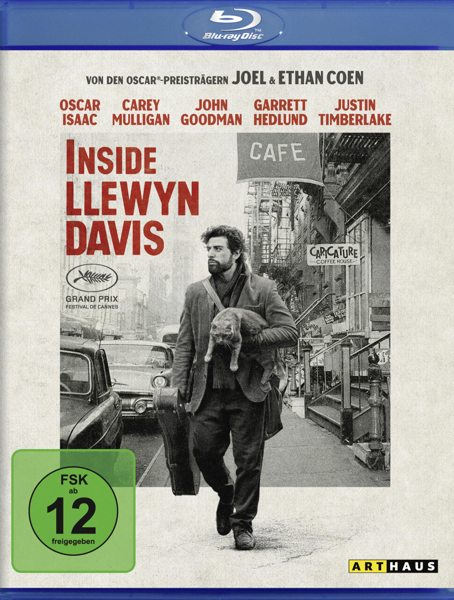 Ein DVD-Cover mit einem Mann, der eine Katze und einen Gitarrenkoffer trägt und eine Straße entlanggeht.