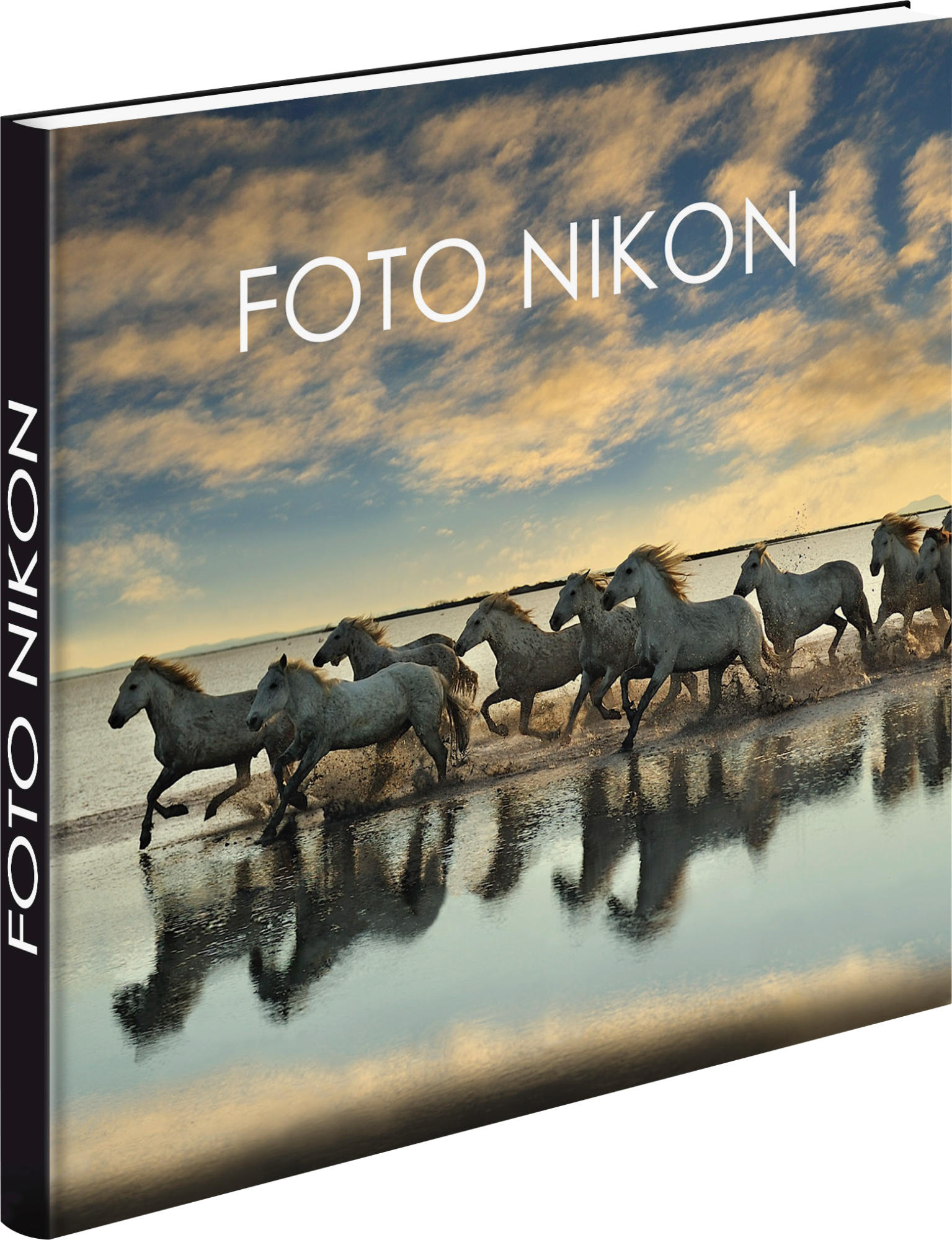 Cámara réflex - Nikon D3300 + AF-P DX 18-55mm + Estuche + Trípode + Libro