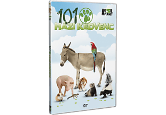 101 házi kedvenc (DVD)