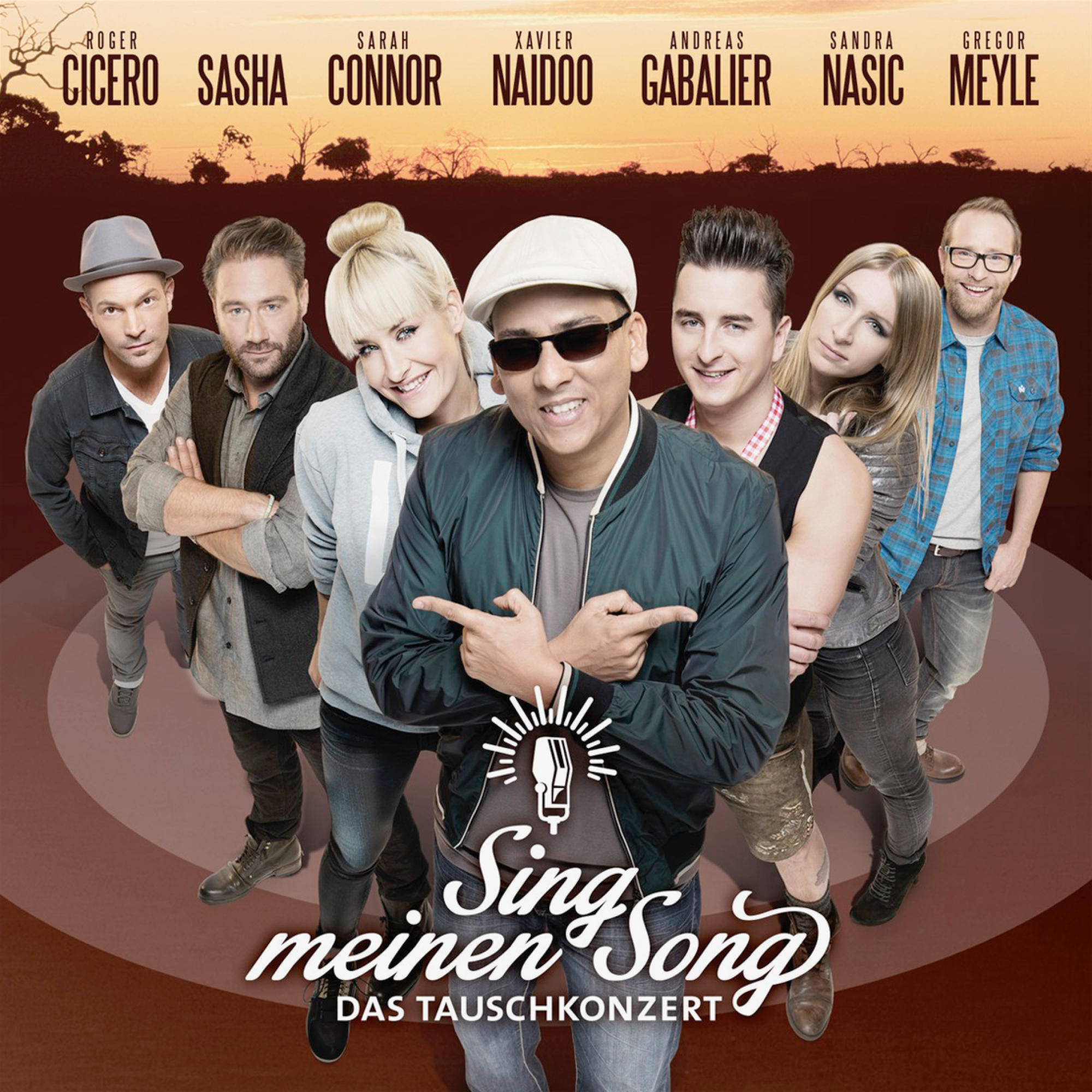 VARIOUS - Sing Meinen Song-Das Tauschkonzert  - (CD)