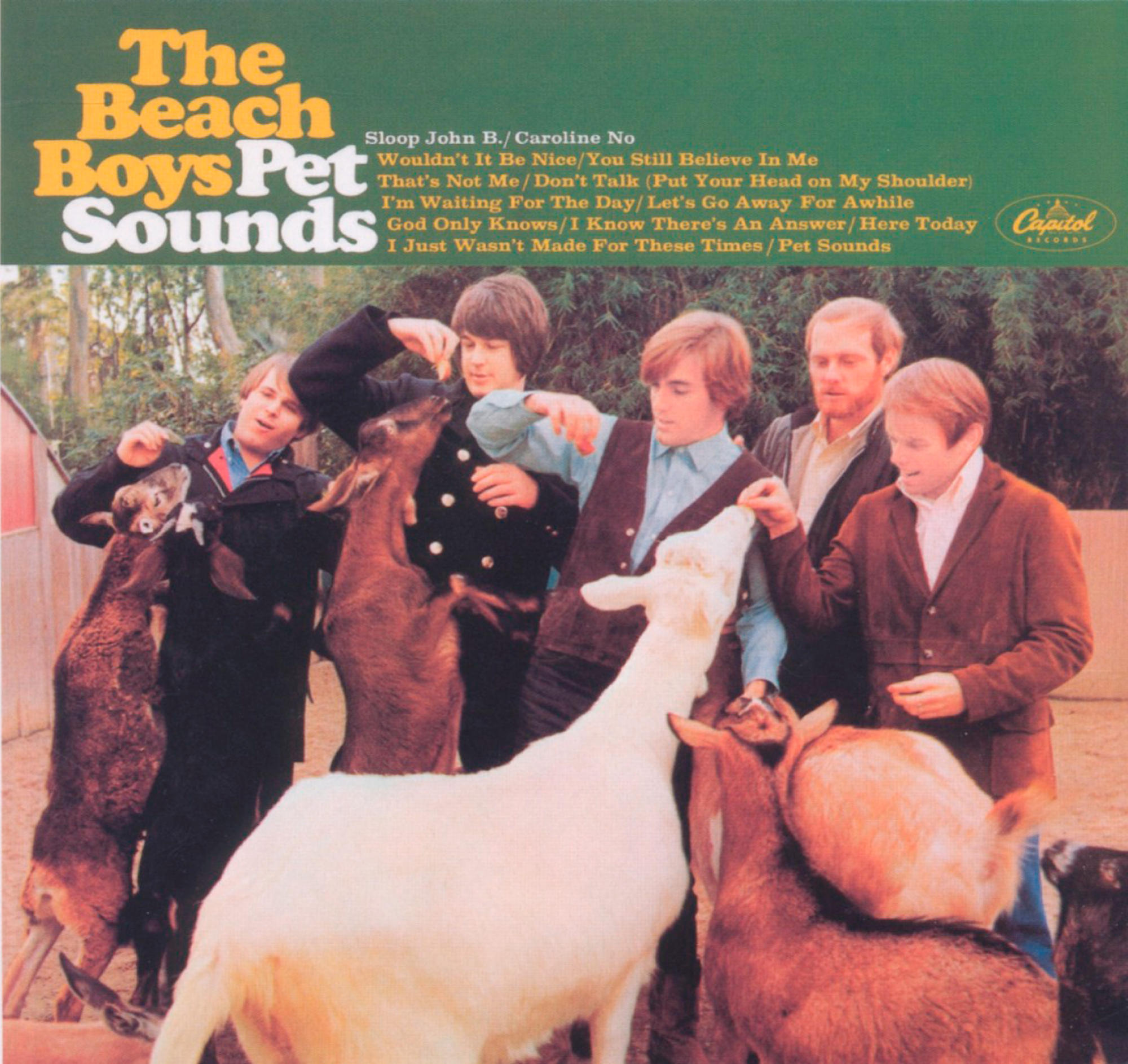 Pochette d'album : The Beach Boys, entourés de chèvres. Texte : 'Pet Sounds' et titres de chansons.