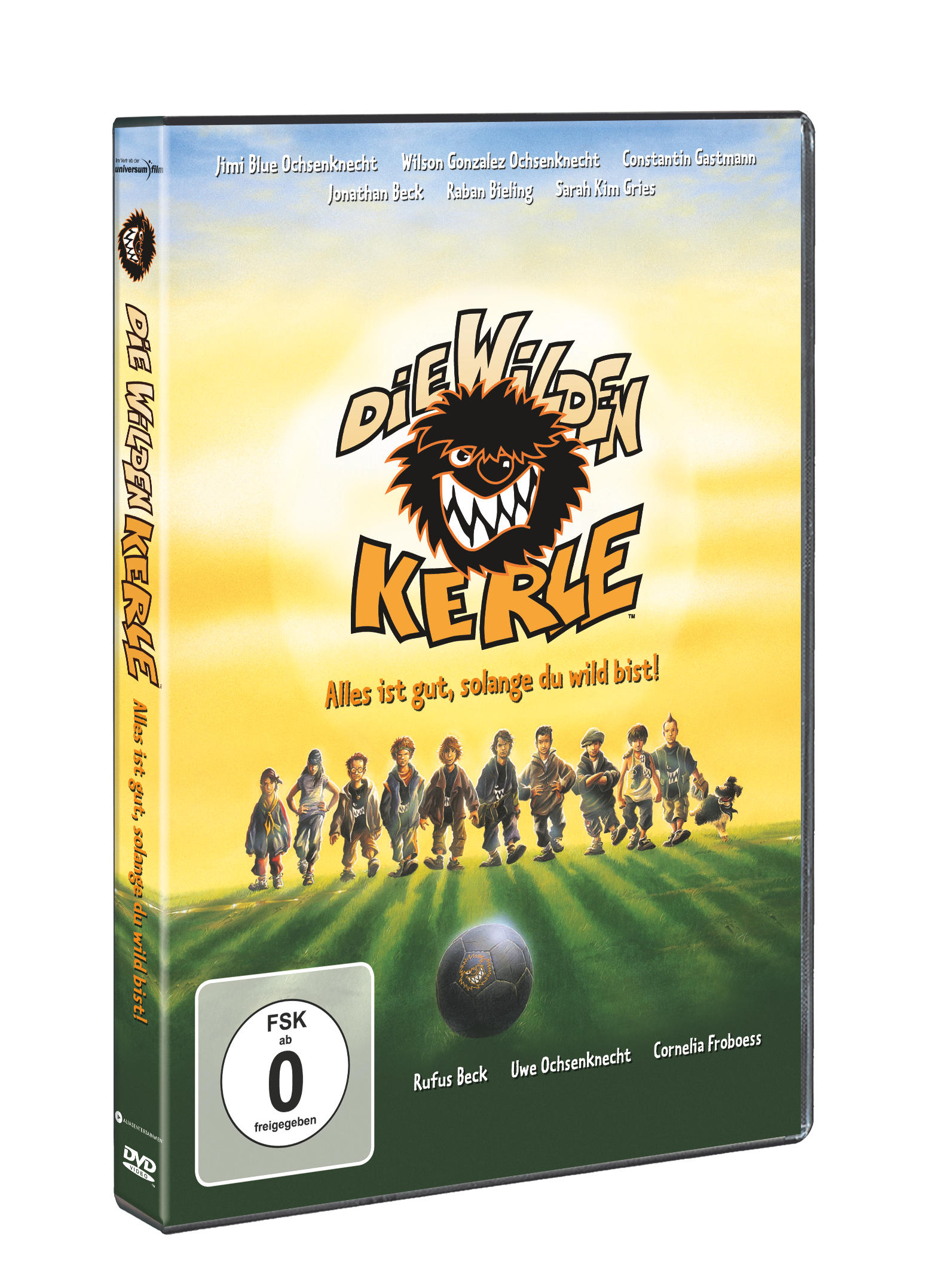 DVD-Cover von 'Die Wilden Kerle' mit Kindern und einem Fußball auf einem grünen Feld.
