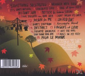 Albumcover. Rückseite mit Titelliste, Herbstblättern und Wäscheleine mit hängender Kleidung.